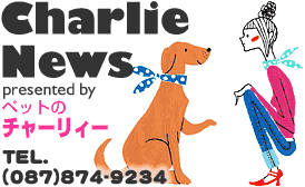 [Charlie News] presented by ybg̃`[B TEL.(087)874-9234